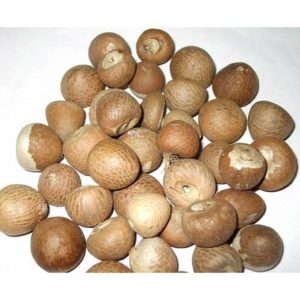 Betel_Nuts_Whole.jpg