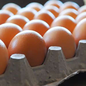 Fresh-Farm-Eggs.jpg